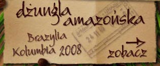 Dungla amazoska 2008
